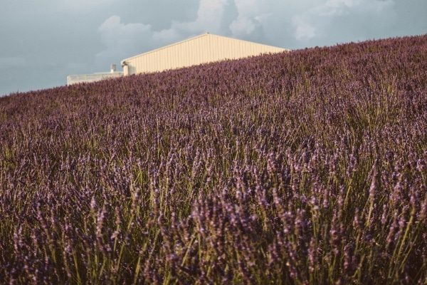 Provence, France Romantic Train Journeys