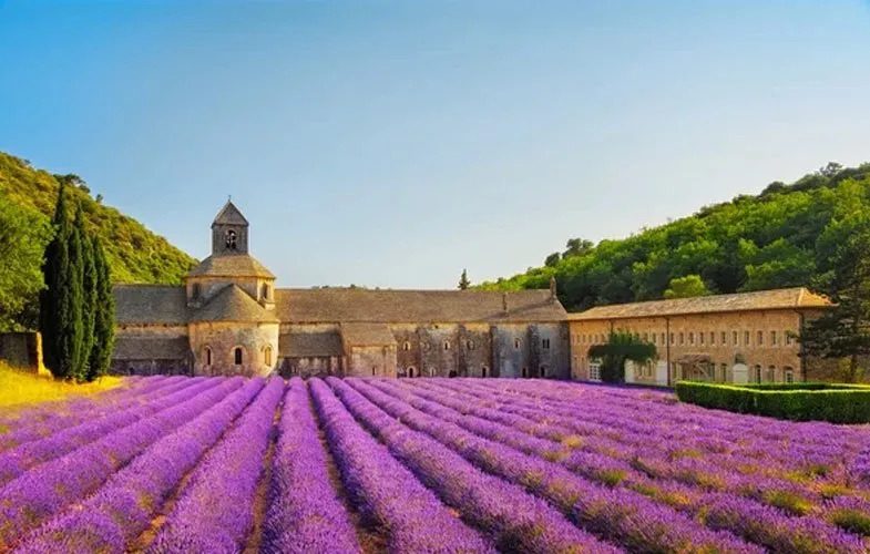 Club Med Opio Provence, Falani