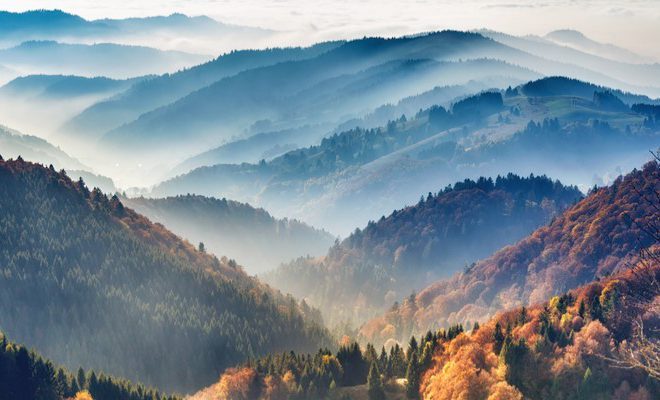 Baso Beltza eta Nola iritsi trenez bloga