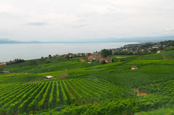 Lausanne Switzerland Fields