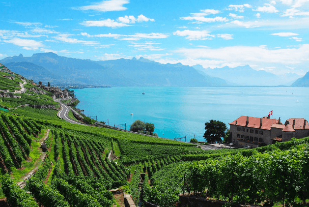 Lavaux Switzerland featuring in Best Wineries In Europe