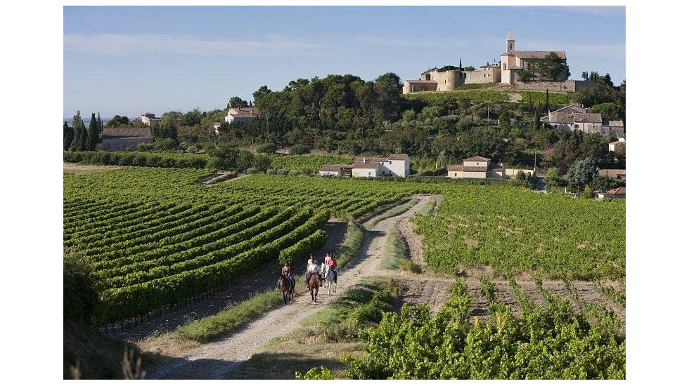 Rhone Valley is in the Best wineries in Europe