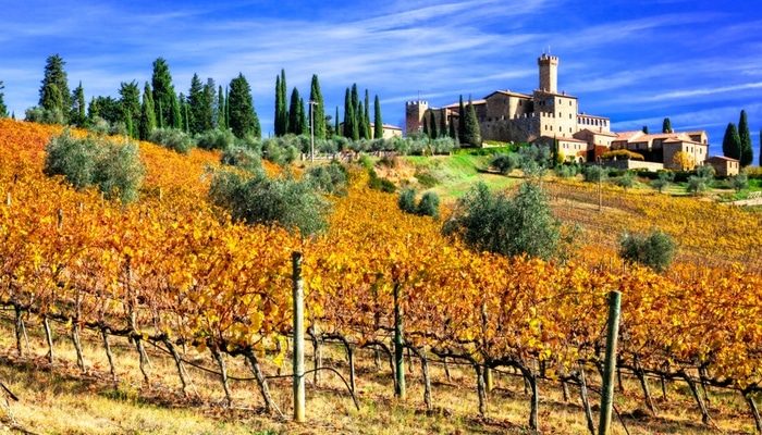 Banfi Castle