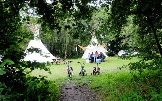 Tenting in the woods