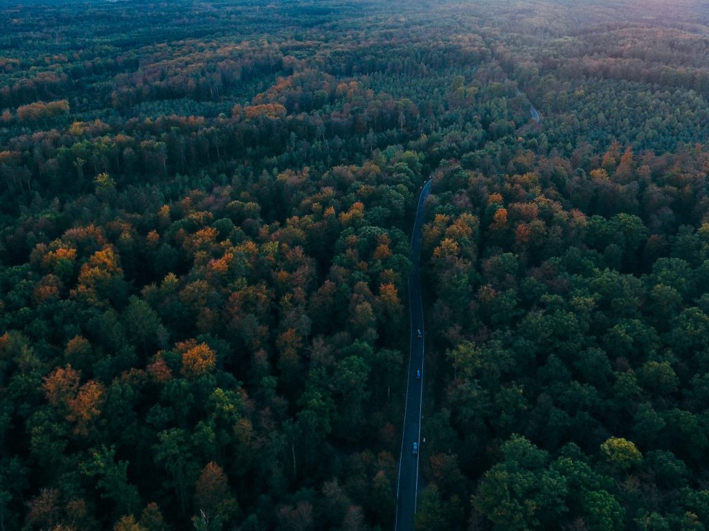 The Black Forest is a natural wonder of Europe