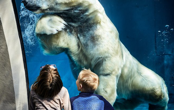 zoo aquarium me kahi keiki e hoʻopā ana