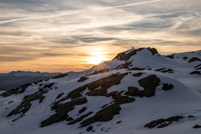 Wildlife Holiday In The Pyrenees