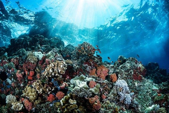 Cabrera Archipelago National Park