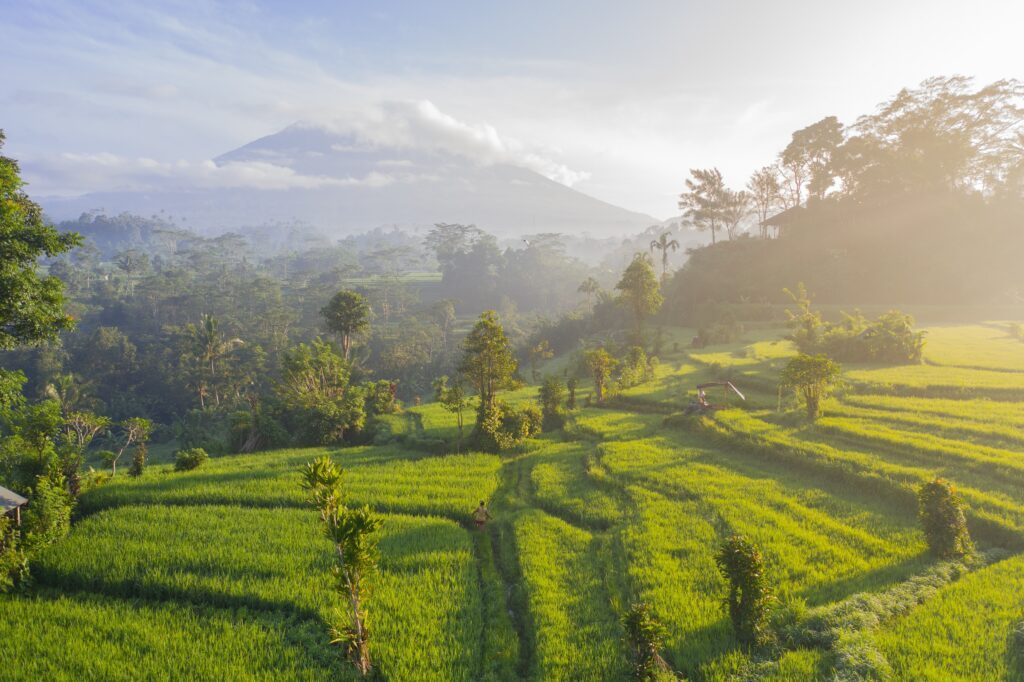 Digital Freelancers In Bali Indonesia